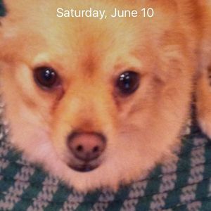 Meet your Posher, Shelly